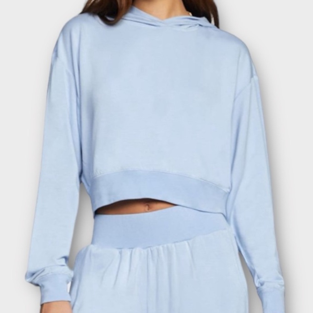 RVCA Sunday Collection Women’s Hoodie Pullover Sweatshirt Small Cropped Sky Blue